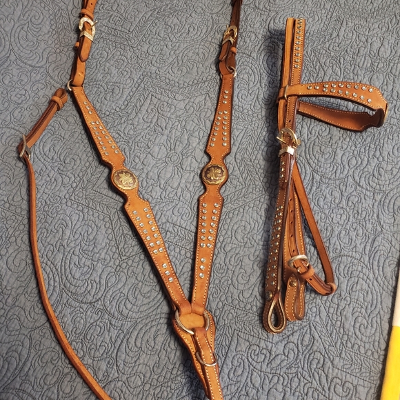 Headstall and Breast Collar set - Picture 1 of 4